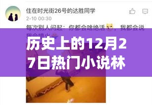 歷史上的12月27日，林天宇與寧麗霞的熱門小說之旅
