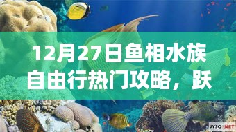 12月27日魚相水族心靈之旅，深藍(lán)海洋自由行攻略