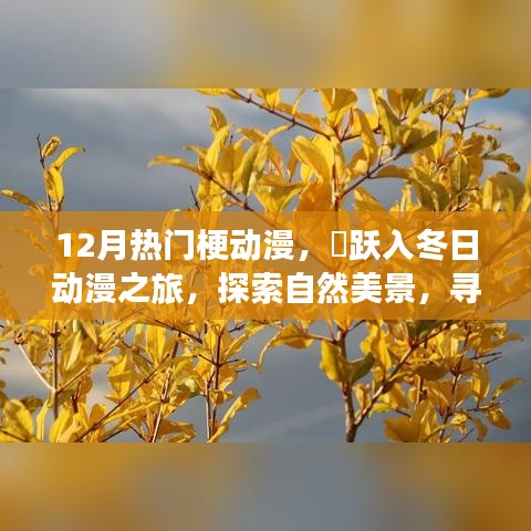 12月熱門梗動(dòng)漫，躍入冬日探索之旅，自然美景與內(nèi)心的奇跡