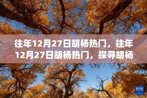 探尋胡楊魅力與熱門(mén)事件背后的故事，歷年12月27日胡楊之旅的熱門(mén)揭秘
