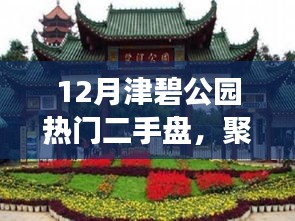 津碧公園熱門二手盤解讀與置業(yè)指南，熱門房源一覽及指南