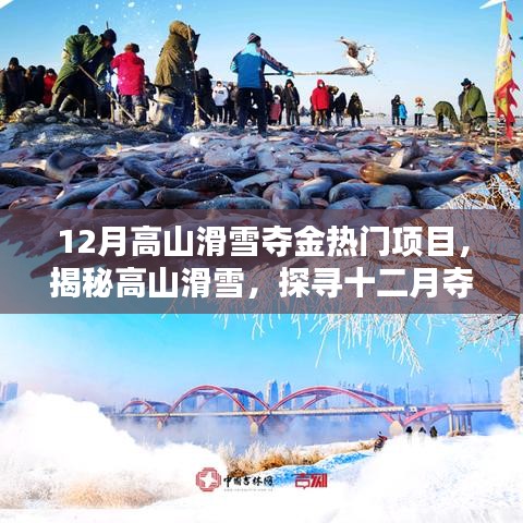 揭秘高山滑雪，十二月奪金熱門項(xiàng)目的魅力與要點(diǎn)解析