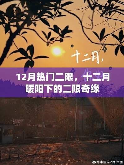 十二月暖陽下的二限奇緣，12月熱門二次限定活動(dòng)盤點(diǎn)