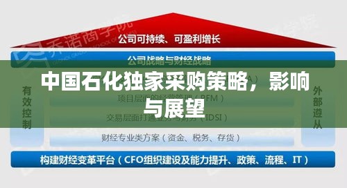 中國石化獨家采購策略，影響與展望