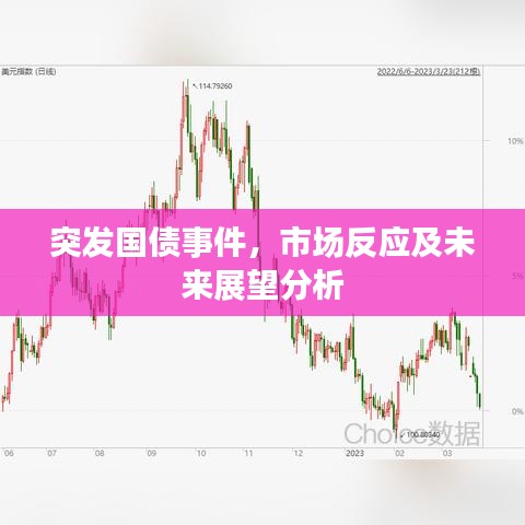 突發(fā)國債事件，市場反應(yīng)及未來展望分析