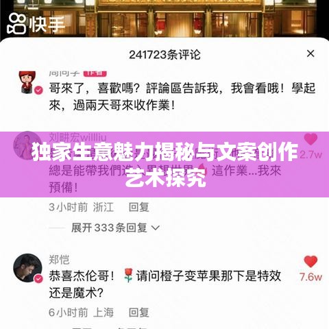 獨家生意魅力揭秘與文案創(chuàng)作藝術(shù)探究