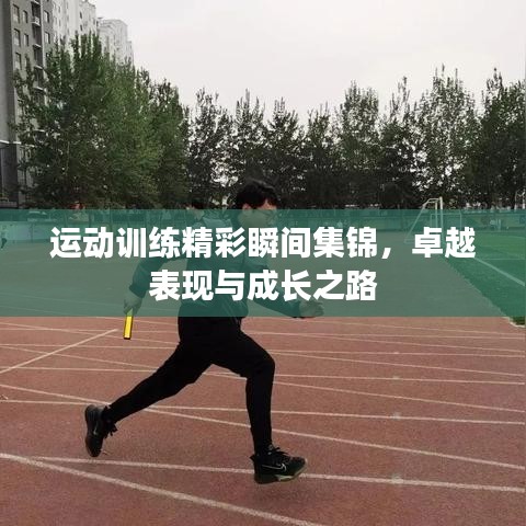 運(yùn)動(dòng)訓(xùn)練精彩瞬間集錦，卓越表現(xiàn)與成長(zhǎng)之路