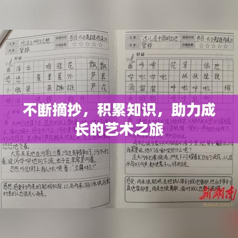 不斷摘抄，積累知識(shí)，助力成長的藝術(shù)之旅