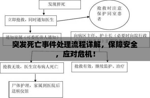突發(fā)死亡事件處理流程詳解，保障安全，應(yīng)對危機(jī)！