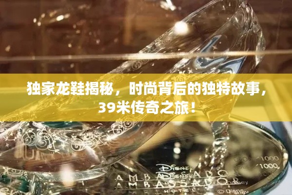 獨(dú)家龍鞋揭秘，時(shí)尚背后的獨(dú)特故事，39米傳奇之旅！