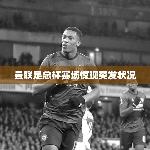 曼聯(lián)足總杯賽場(chǎng)驚現(xiàn)突發(fā)狀況