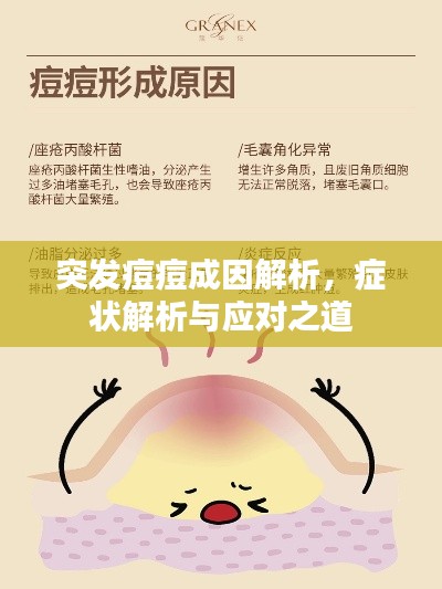 突發(fā)痘痘成因解析，癥狀解析與應(yīng)對(duì)之道