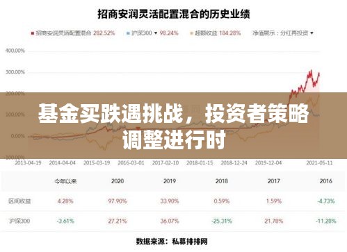 基金買(mǎi)跌遇挑戰(zhàn)，投資者策略調(diào)整進(jìn)行時(shí)