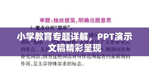 小學(xué)教育專題詳解，PPT演示文稿精彩呈現(xiàn)