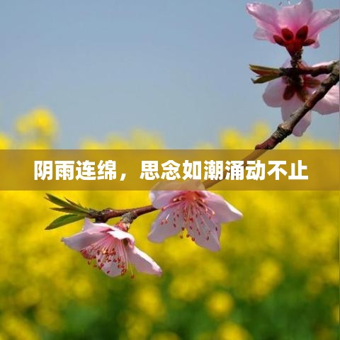 陰雨連綿，思念如潮涌動不止