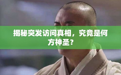 揭秘突發(fā)訪問真相，究竟是何方神圣？