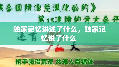 獨(dú)家記憶講述了什么，獨(dú)家記憶說了什么 