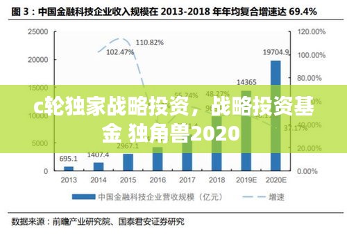 c輪獨(dú)家戰(zhàn)略投資，戰(zhàn)略投資基金 獨(dú)角獸2020 