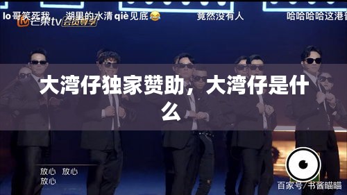 大灣仔獨(dú)家贊助，大灣仔是什么 