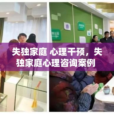 失獨(dú)家庭 心理干預(yù)，失獨(dú)家庭心理咨詢案例 