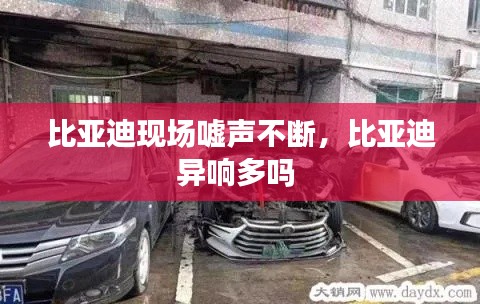 比亞迪現(xiàn)場(chǎng)噓聲不斷，比亞迪異響多嗎 