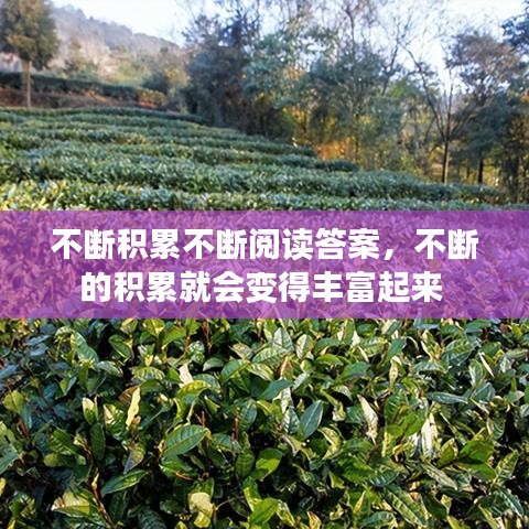 不斷積累不斷閱讀答案，不斷的積累就會(huì)變得豐富起來 