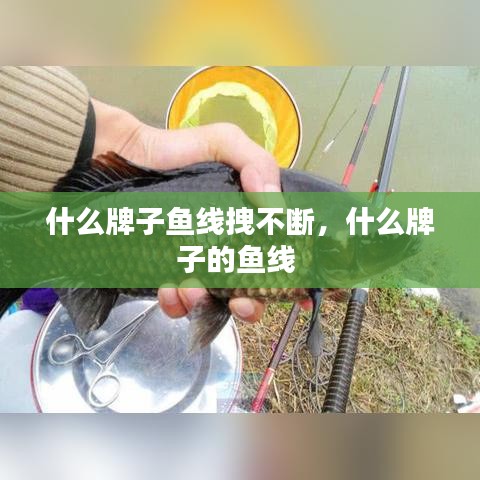什么牌子魚(yú)線拽不斷，什么牌子的魚(yú)線 