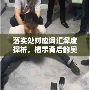 落實(shí)處對(duì)應(yīng)詞匯深度探析，揭示背后的奧秘