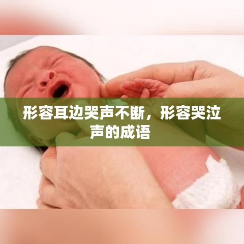 形容耳邊哭聲不斷，形容哭泣聲的成語 