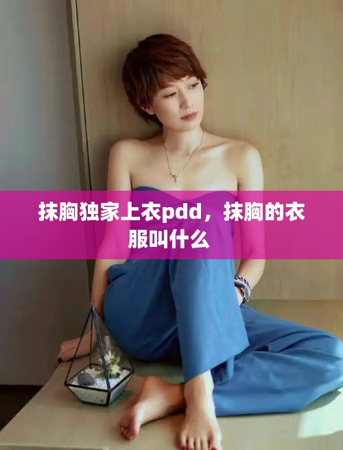 抹胸獨家上衣pdd，抹胸的衣服叫什么 