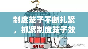 制度籠子不斷扎緊，抓緊制度籠子效果如何 
