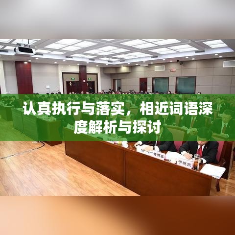 認(rèn)真執(zhí)行與落實(shí)，相近詞語深度解析與探討