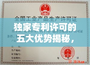 獨(dú)家專利許可的五大優(yōu)勢揭秘，專利保護(hù)下的商業(yè)新機(jī)遇！