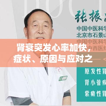 腎衰突發(fā)心率加快，癥狀、原因與應(yīng)對之策