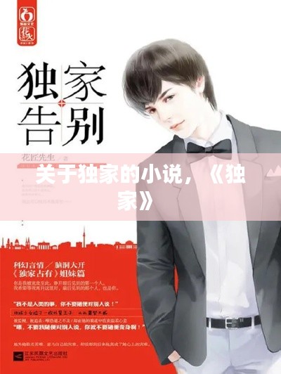 關(guān)于獨(dú)家的小說(shuō)，《獨(dú)家》 