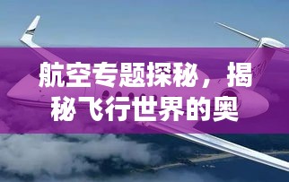 航空專題探秘，揭秘飛行世界的奧秘