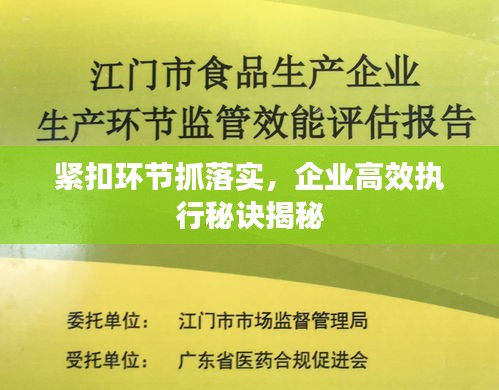 緊扣環(huán)節(jié)抓落實(shí)，企業(yè)高效執(zhí)行秘訣揭秘