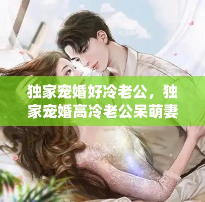 獨(dú)家寵婚好冷老公，獨(dú)家寵婚高冷老公呆萌妻 