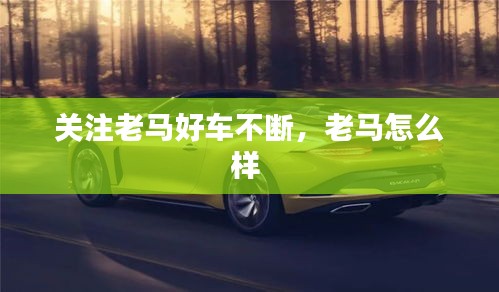 關(guān)注老馬好車不斷，老馬怎么樣 