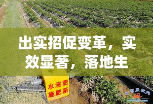出實招促變革，實效顯著，落地生根