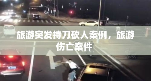 旅游突發(fā)持刀砍人案例，旅游傷亡案件 