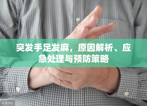 突發(fā)手足發(fā)麻，原因解析、應(yīng)急處理與預(yù)防策略
