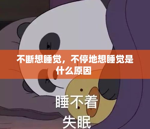 不斷想睡覺，不停地想睡覺是什么原因 