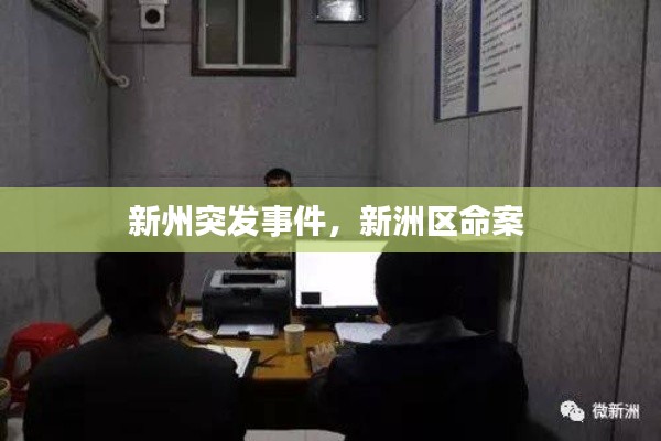 新州突發(fā)事件，新洲區(qū)命案 