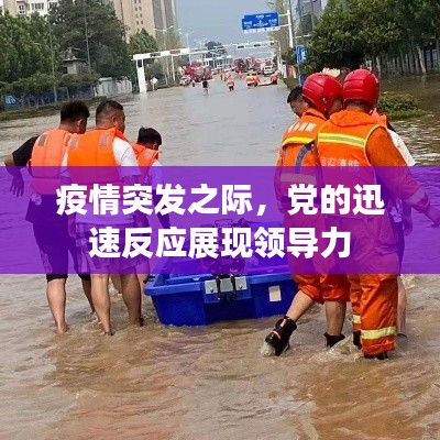 疫情突發(fā)之際，黨的迅速反應(yīng)展現(xiàn)領(lǐng)導(dǎo)力