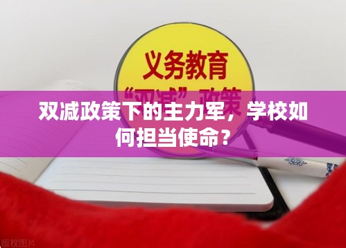 雙減政策下的主力軍，學校如何擔當使命？