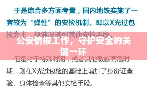 公安情報工作，守護(hù)安全的關(guān)鍵一環(huán)