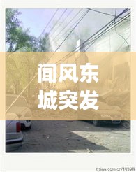 晉惠聞蛙 第2頁