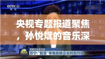 央視專題報道聚焦，孫悅斌的音樂深度之旅