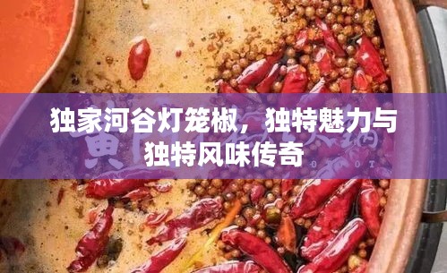 獨家河谷燈籠椒，獨特魅力與獨特風(fēng)味傳奇